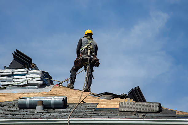 Professional Flat Roof Repair technician working in Lockport, IL
